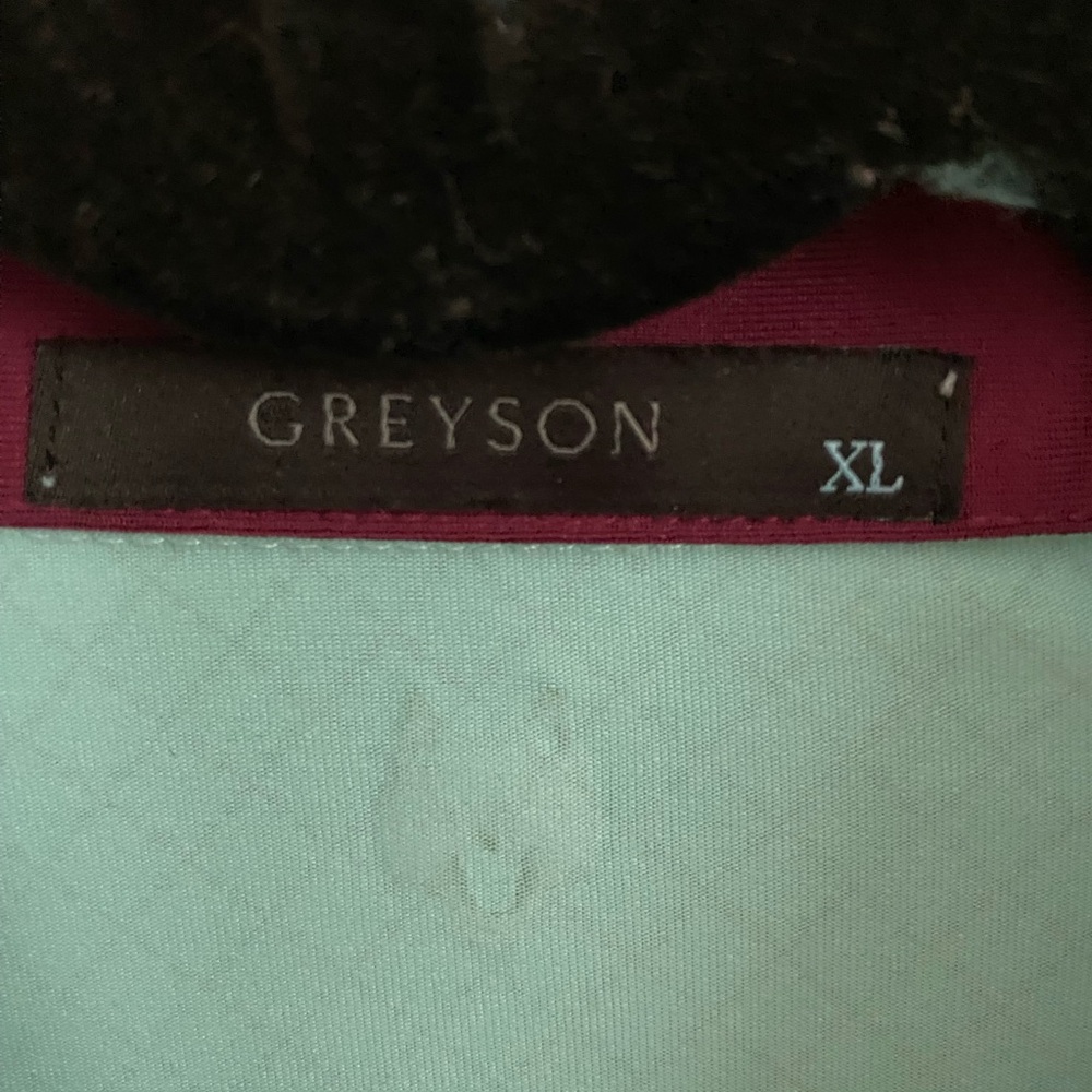 Greyson Polo - Picture 2 of 3